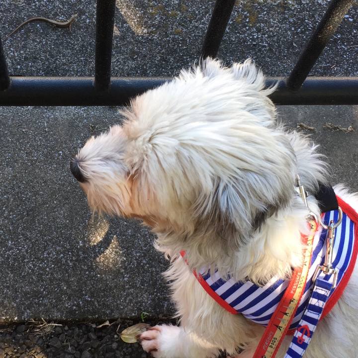 9ce87c18 f68c 4a46 9cf5 fb8ce67fae35 1509683894588