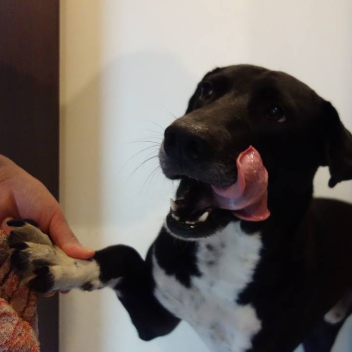 9ce8a9b8 4acb 4679 9576 82c3e62d4286 1621383310535