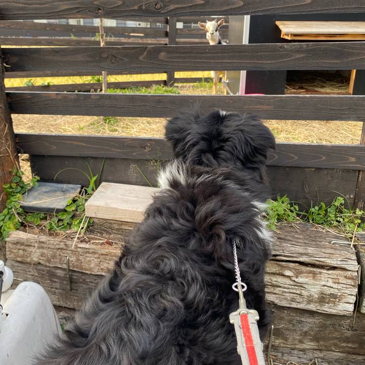 9ce8c09b 63b3 4ece 9b4e ca529ab9b7b2 1683536387205