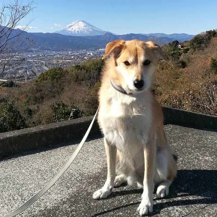 9ce8c52b 465e 4cf9 b04d 381345700793 1514870337077