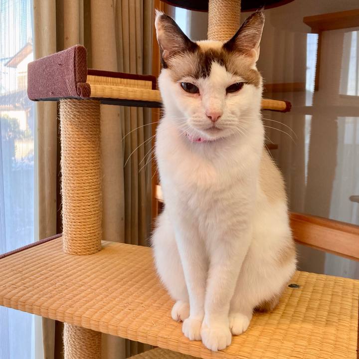 9ce8c763 87e1 4ebb a0b0 5ea77ab28ccd 1636097746548