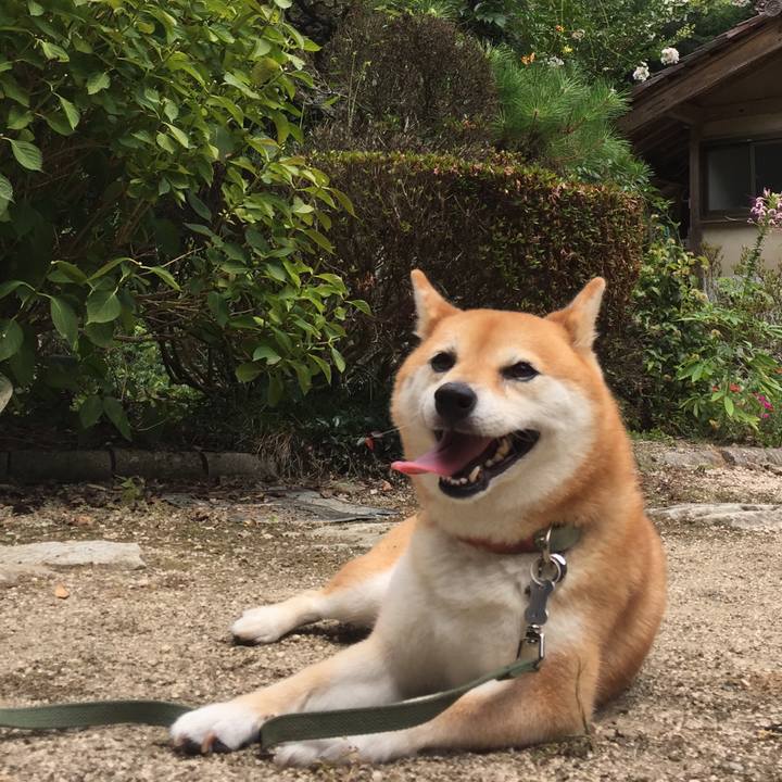 9ce8cdc6 fa7a 4a19 a767 f58a7903f37c 1534257911023