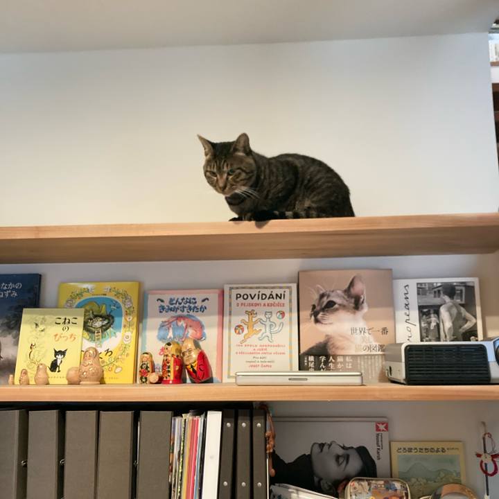 9ce8dcb9 b13f 4f0d 8745 50ea7555c7b3 1665357693996