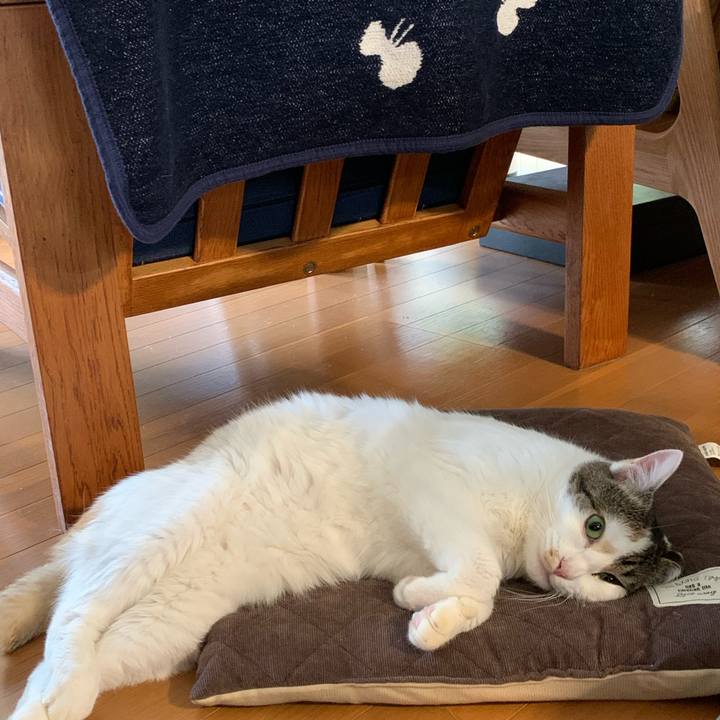 9ce8f3f0 6aa3 455e b21a b9e17cc0af44 1640655345760