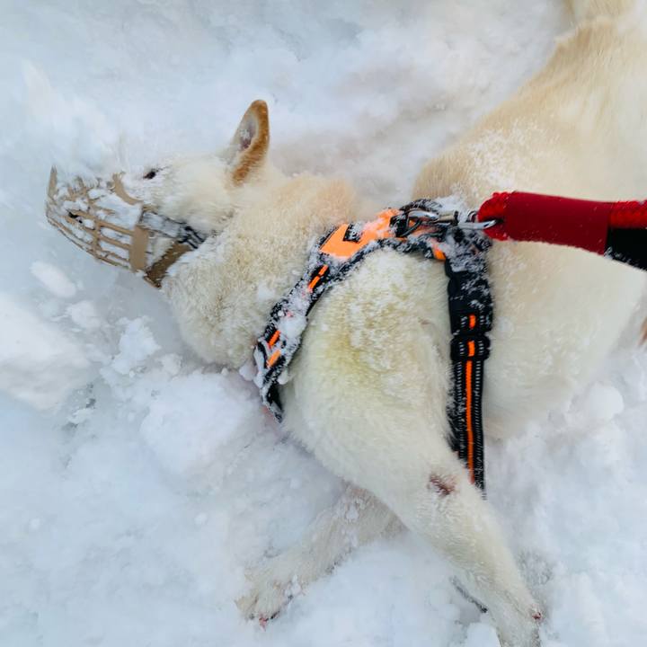 9ce94559 9140 4453 91ca 6bbb4ac6968b 1670020487423