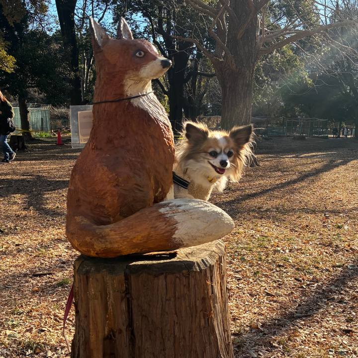 9ce95721 c788 4b37 9c9a e48d07fa6564 1769312676640