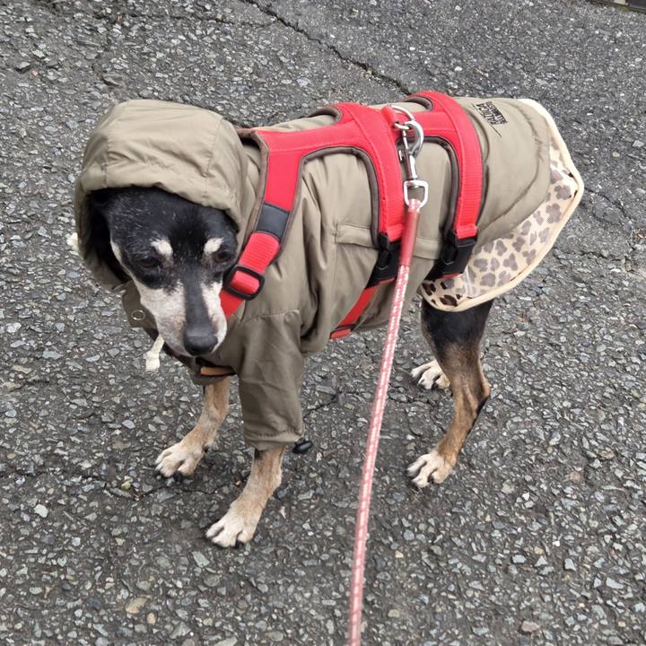 9ce96531 7979 40af 9787 59c46f2b3189 1763421980999