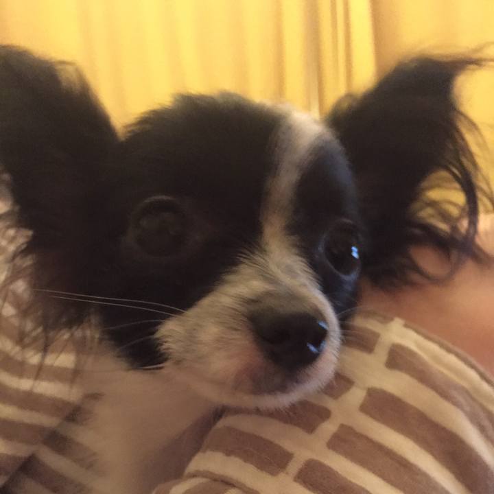 9ce968fb baa7 47e8 9a21 31c5c080c630 1523831457218