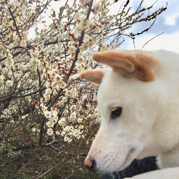 9ce9b31b 68bc 411b bc4f 4b41b2b13e4b 1518342014343