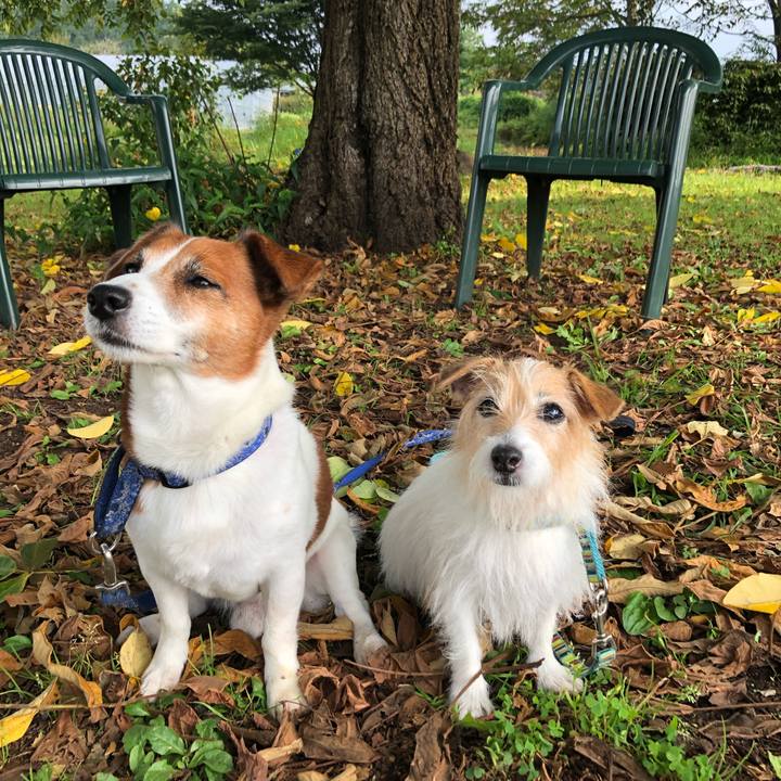 9ce9e07c ce2f 4408 8745 a8c606b73eed 1604902670777