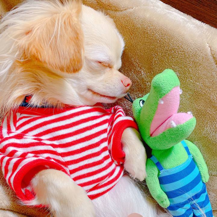 9ce9e240 c4d8 43c3 a55c 13799c6e33cd 1642570021305