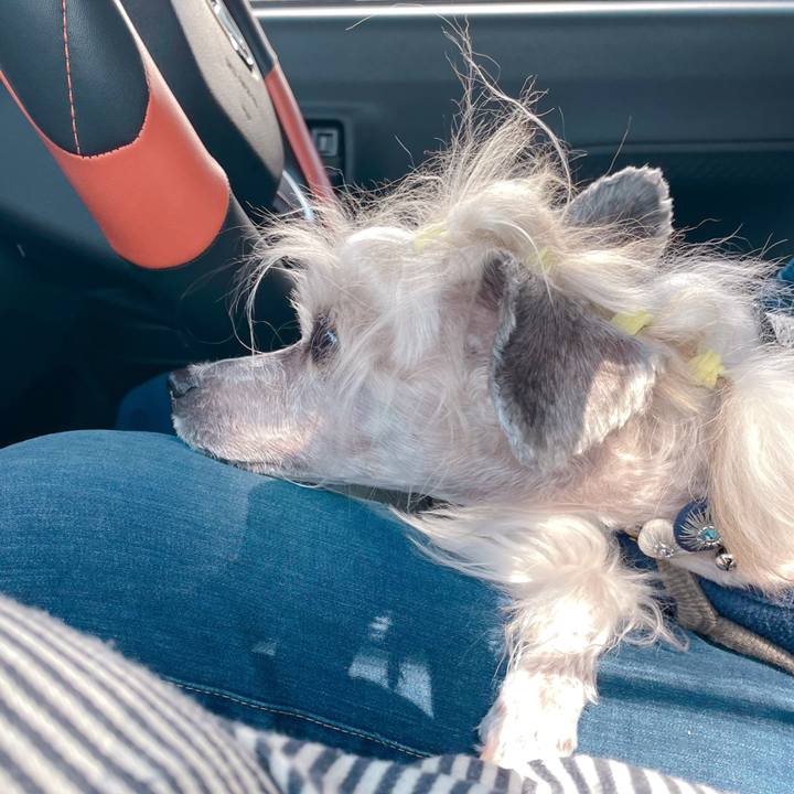 9ce9f71c 6238 462e 9a92 2592ed725169 1761280419970