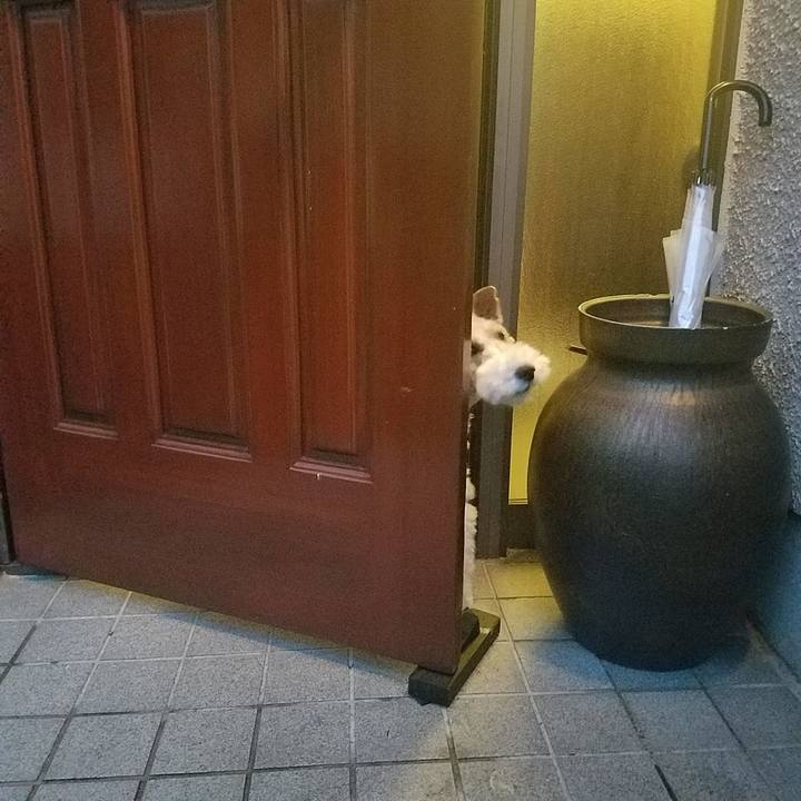 9cea1495 315c 4136 b6f4 b13fba8154dc 1559903493744