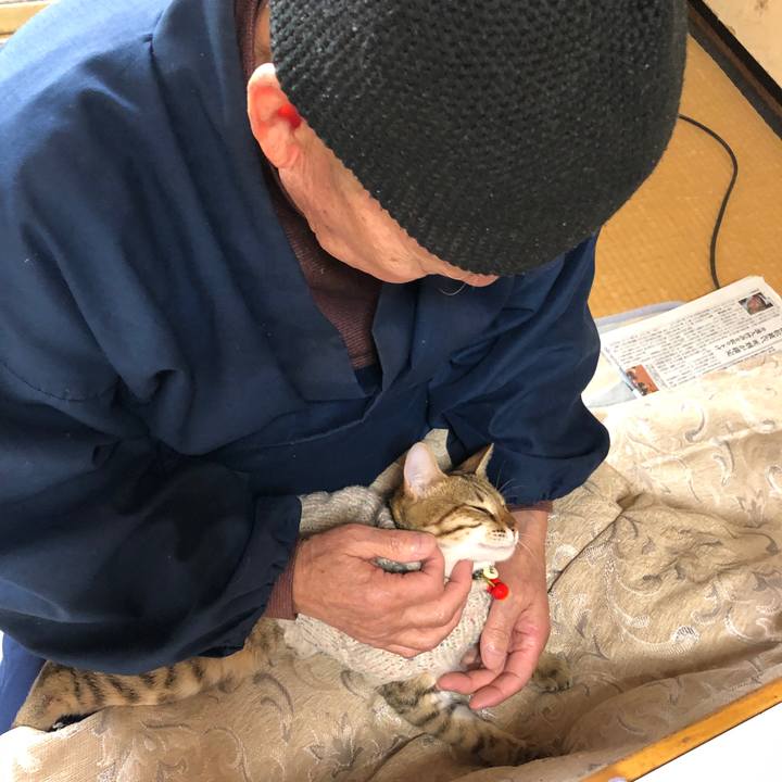 9cea1b8a 4d61 4000 9d6d 89f7d793e6b8 1585637528806