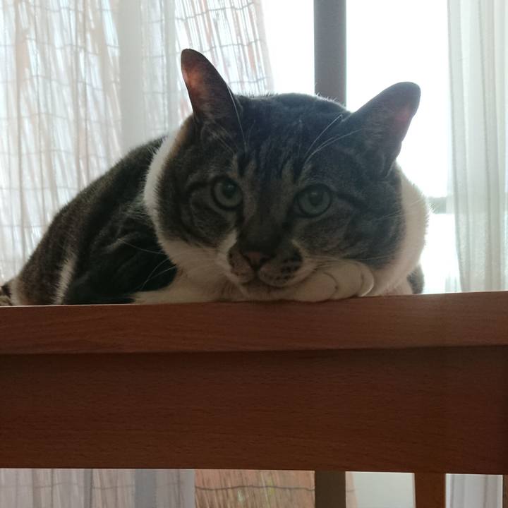 9cea29d3 e4f0 4704 b10e 921026cb94ba 1569111568007