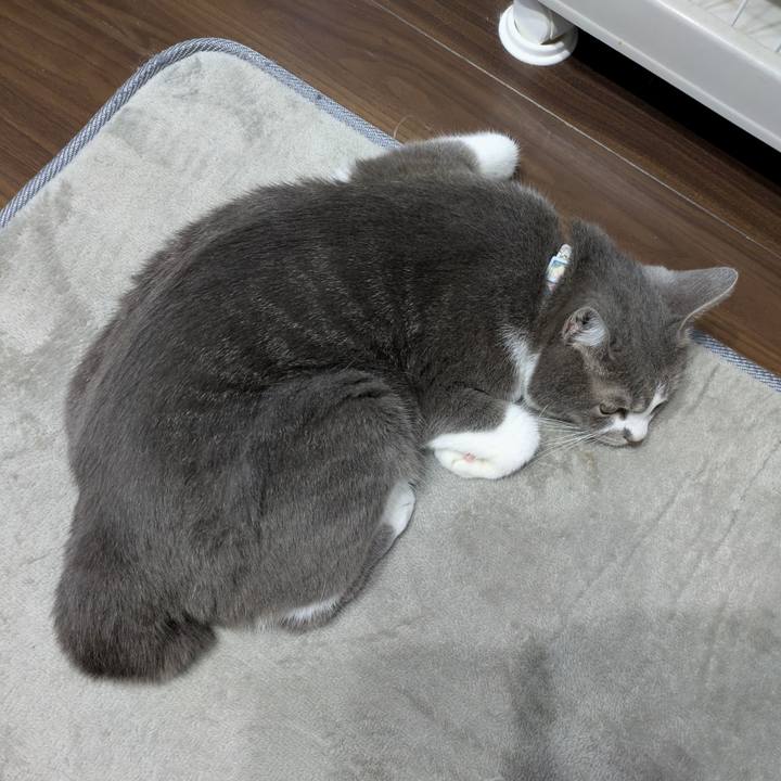 9cea3daa c7a7 4330 b91e e26ea7f81270 1754317898976