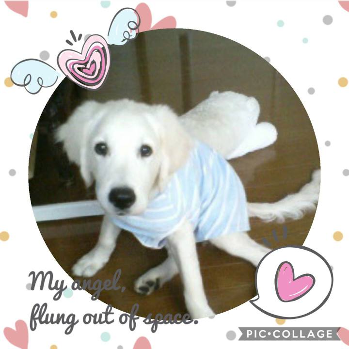 9cea9441 8629 4685 8b22 babe6aa943ca 1581651679784