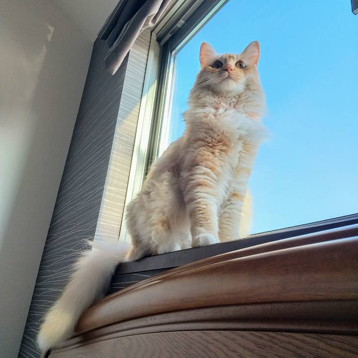 9cea9f7e 46b3 43c7 9869 7d28bd663cba 1627770236863