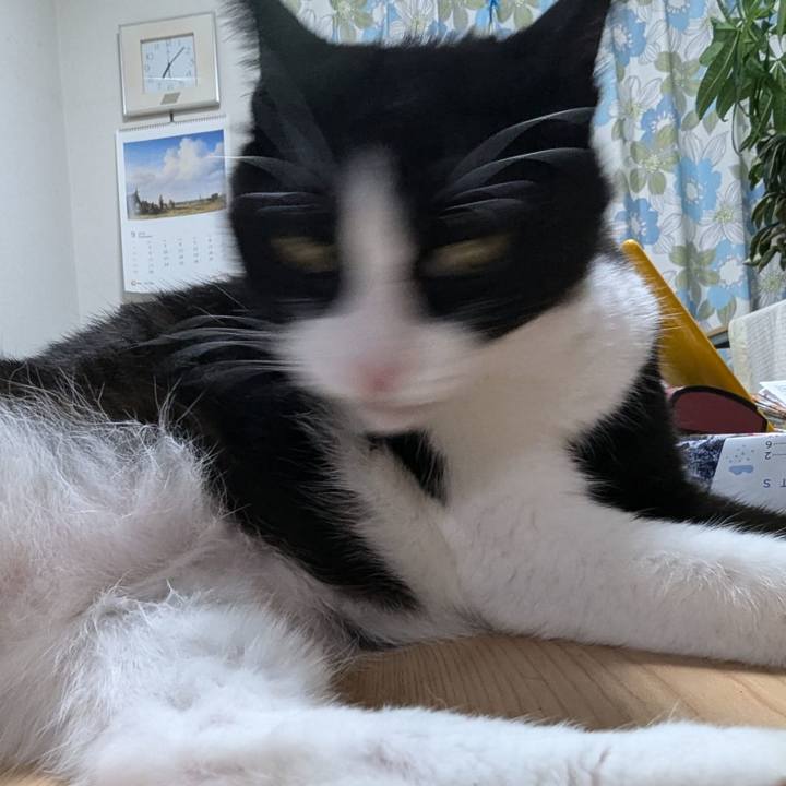 9ceb0029 7703 43ed a764 43bee6aa078d 1725539969192