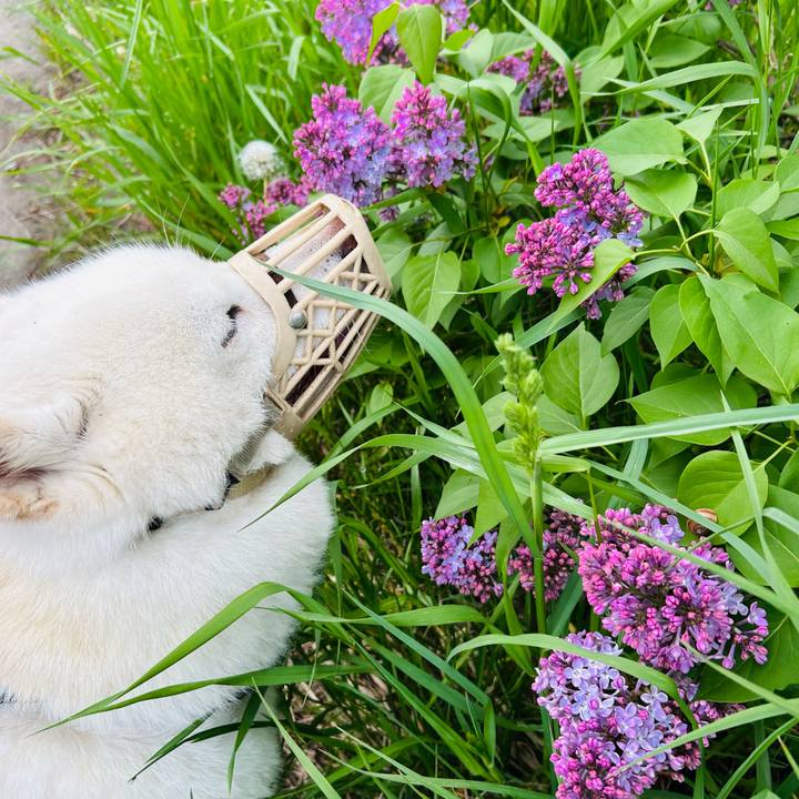 9ceb05a0 a4b6 44b3 b82f 09ec6337c498 1747863871279