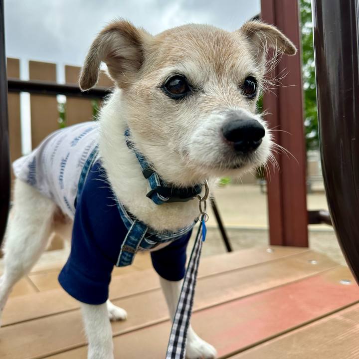 9ceb2a4e 6b9e 40ab b89d fa44aa71b394 1747618254937