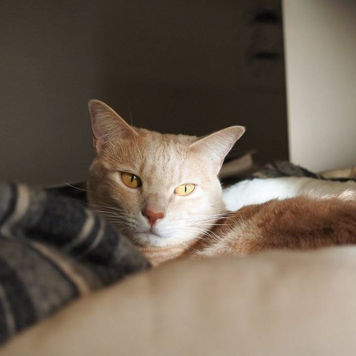 9ceb71cb 4d0e 45ff b007 f9ceac440de2 1636877205205