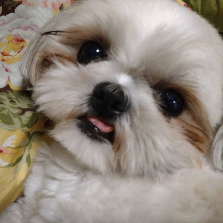 9ceb73c4 aeb0 40af 863a 5fd243aa4a2a 1625875629672