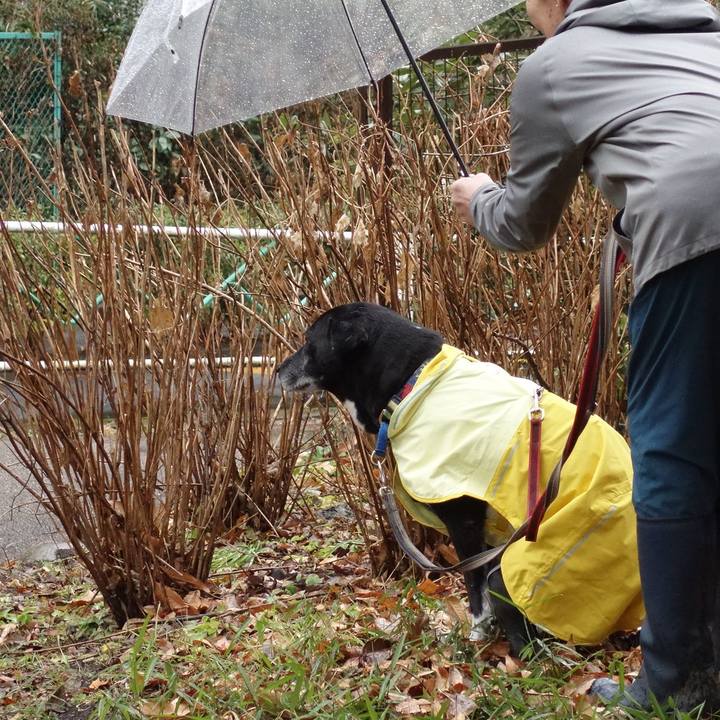 9ceb8570 fd38 4171 80d7 54f7f6f5ec32 1738454390022