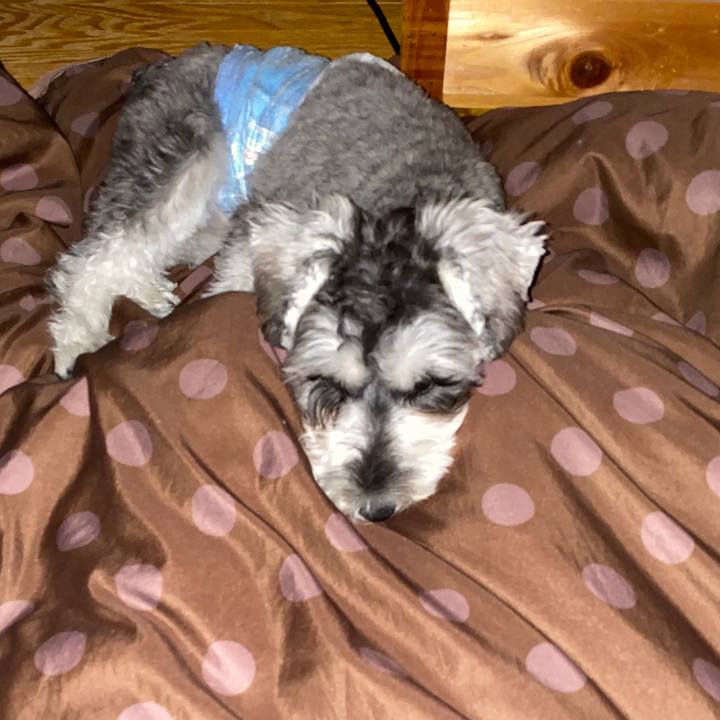 9ceb8d9e f74d 4e3a a9b6 ae08ec0fc142 1573060218290