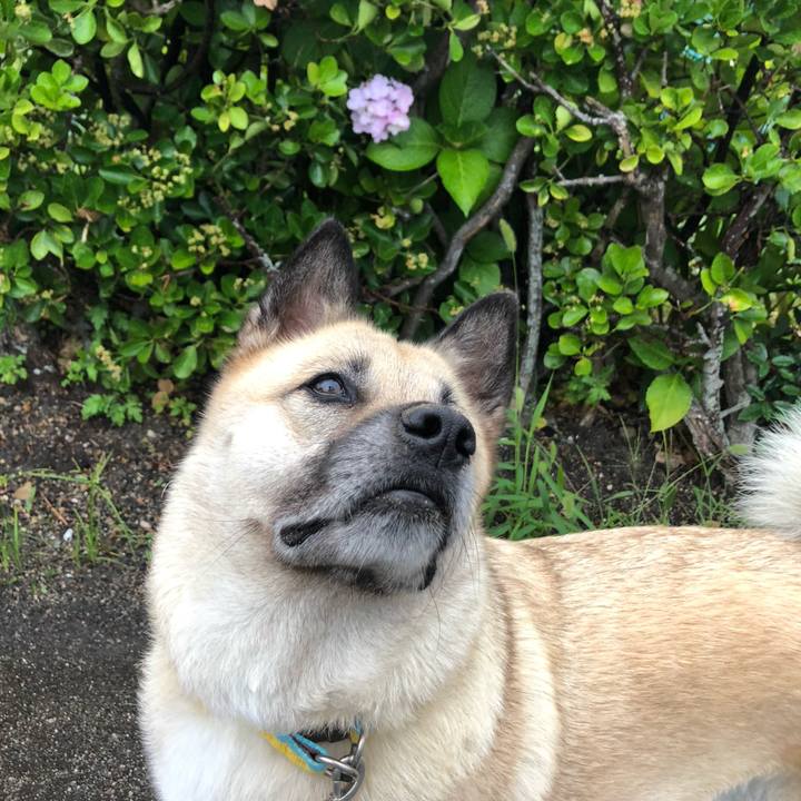 9ceb9e04 31ba 48f6 af4d f06e7ba7a6fe 1625138251121