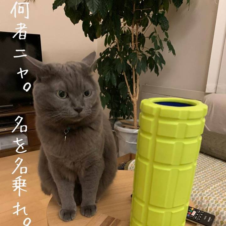 9ceb9ffd d432 4068 8aec b54b1c00ea1c 1590320496284