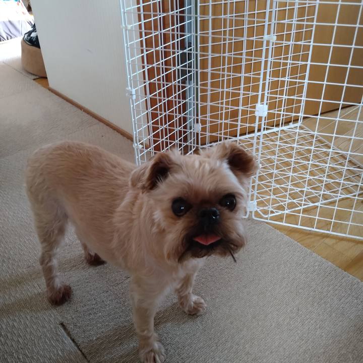 9cebe52e f014 44fa 9b6f 5de1cae36cfd 1623286725792