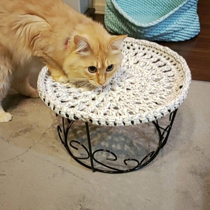 9cec1599 f44e 407d a426 11b9e8d0399e 1665408725049