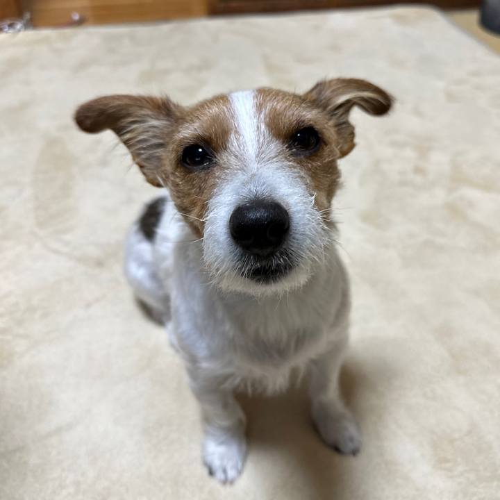 9cec4341 04c6 4b9f 9f32 f95199725cc8 1765320828170