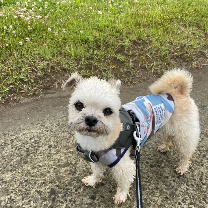 9cec7838 f41a 4c14 8d3c f6e94013dde1 1651918961872