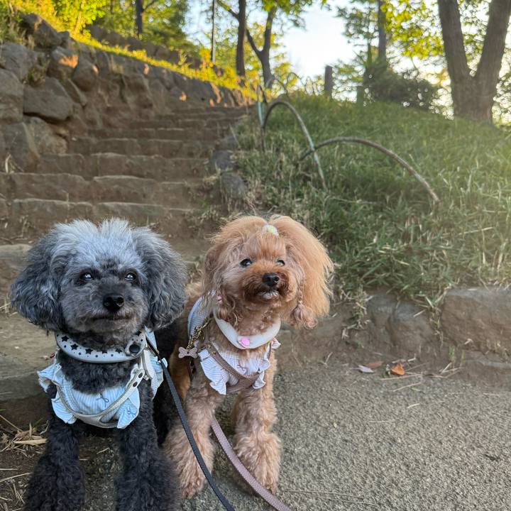 9ced12be 8ae4 4bed 833b 51a7ad426f75 1753914833587