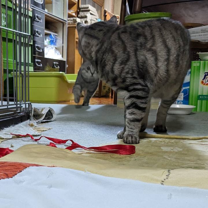 9ced18e7 5d47 4e05 8183 1cda00051eca 1697371014529