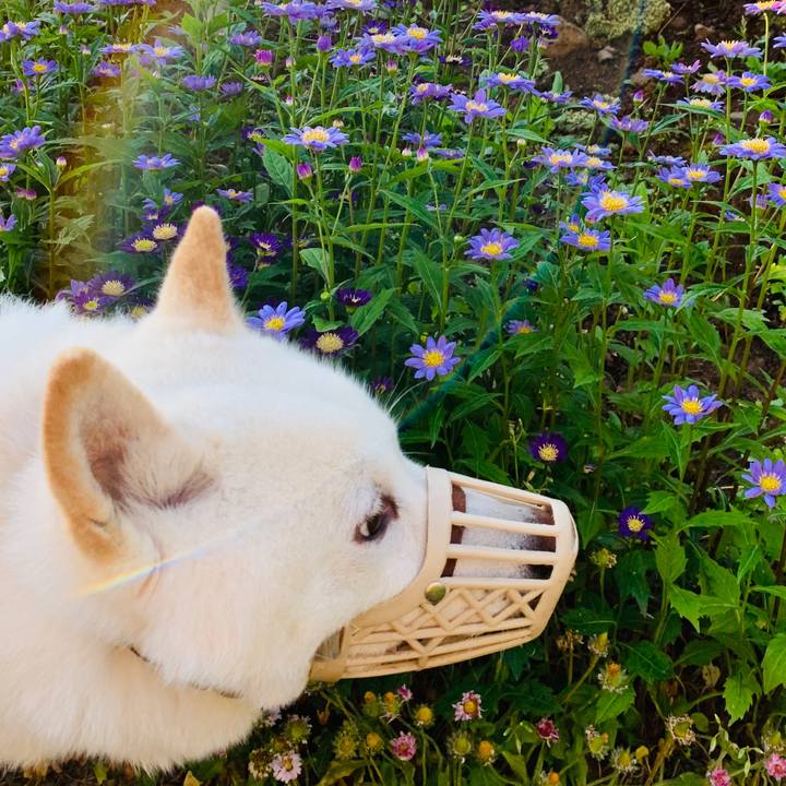 9ced412f 4d89 44f6 abb5 9a5f6473e7c9 1592080541608