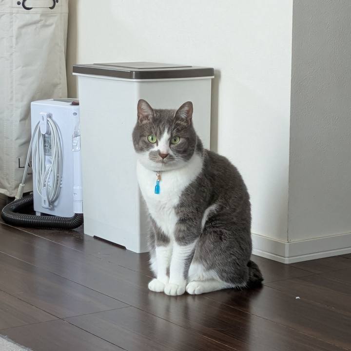 9ced4394 9f11 4341 ae55 0172746a1669 1746680757533