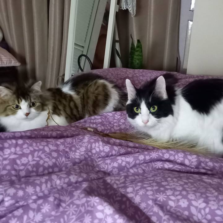 9ced4747 33a4 4da0 aa55 11e617e0057d 1614156490379