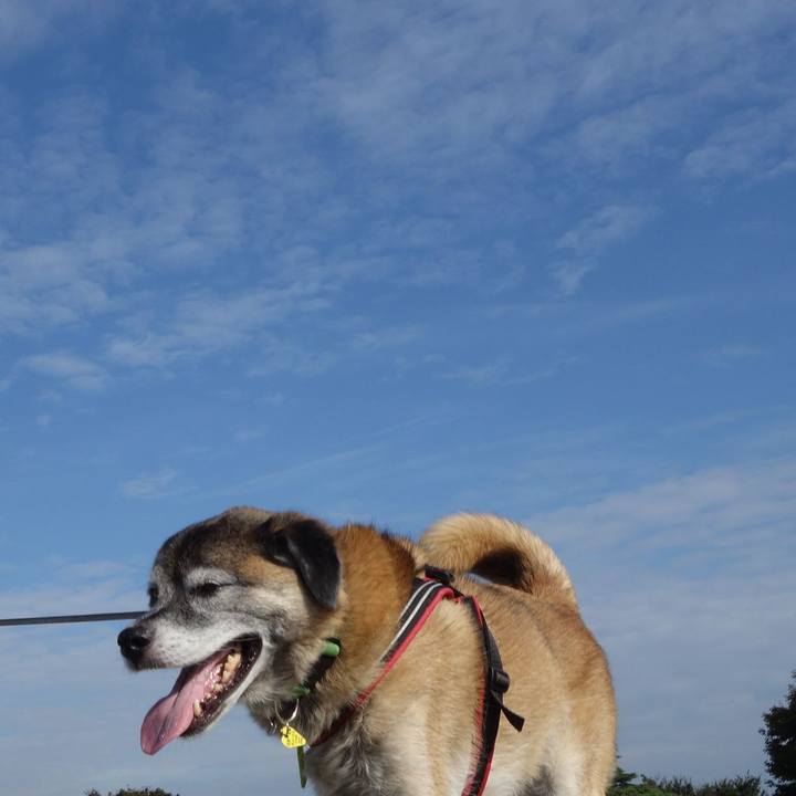 9ced4fc3 cf71 4d57 9d2b 3436f2bfee69 1569631606371