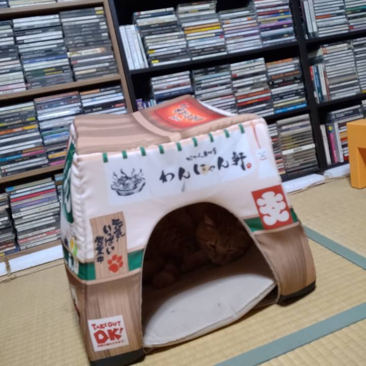 9ced94ef 4428 4052 8e5a 151e1a1ec982 1667391887053