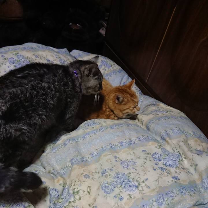 9cee0b61 3aa2 46b9 bea0 df62a22f5bcd 1582632382841