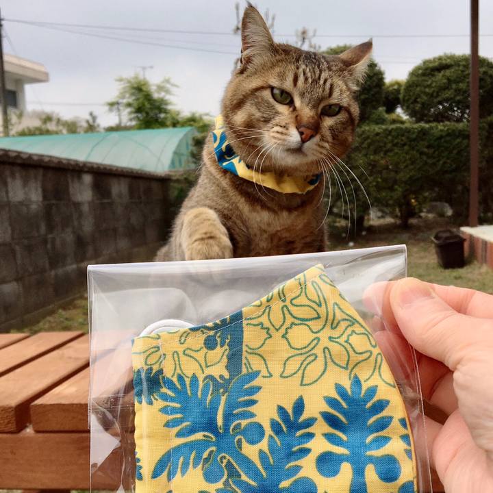 9cee2d5d eb30 4759 884f e3416d56e0e3 1588465988304