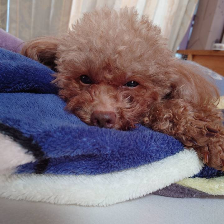 9cee34da b04a 453b 8422 d2709910ee43 1731367924283