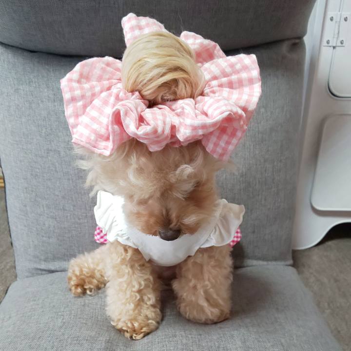 9cee44d4 f622 4ee8 a5e9 dbb979e43e3c 1567657647962