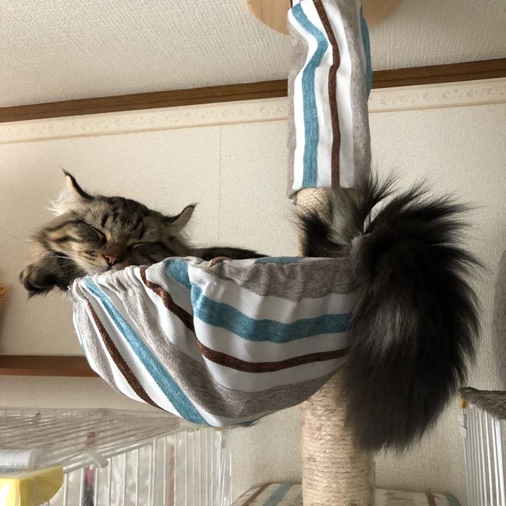 9cee55e8 fa1a 4184 ae46 46d1ed0d4d9c 1566481087166