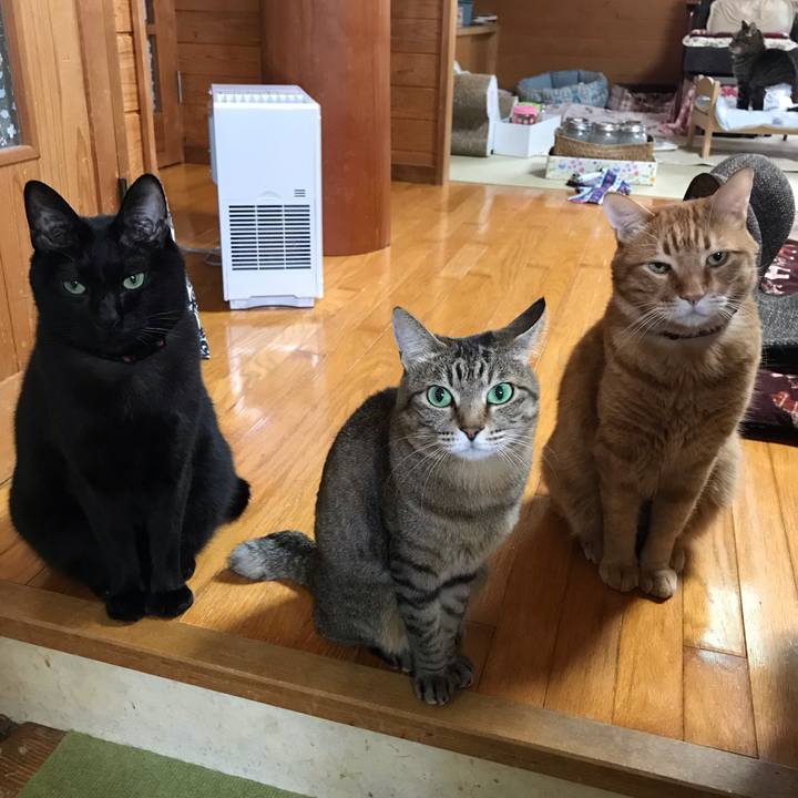 9cee5d71 8595 44e8 8b9c 0c2442bbafe0 1551489503154