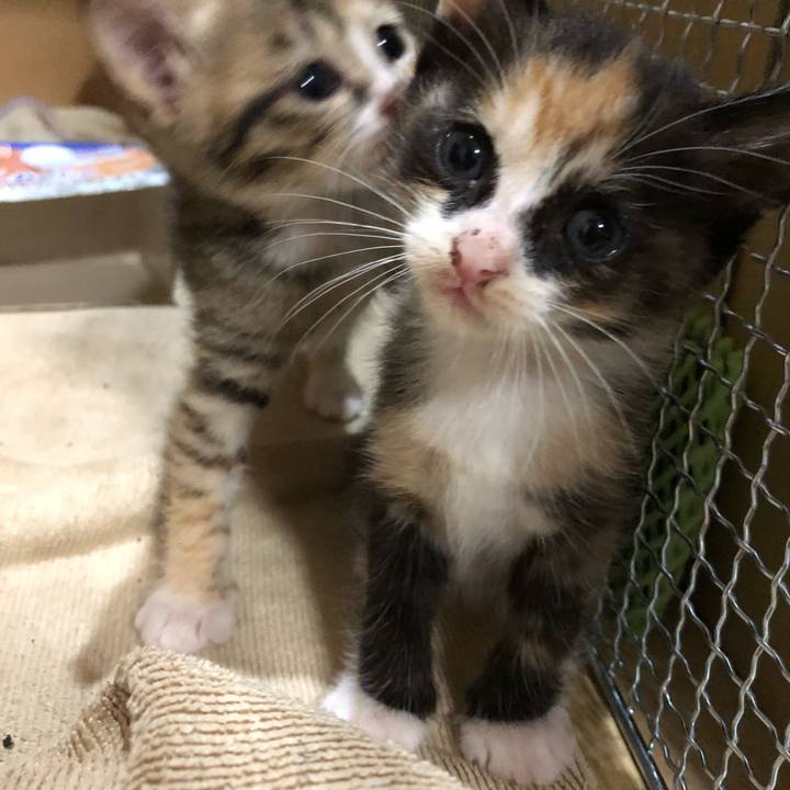 9cee6481 1ea8 4c63 aa36 e8d9f43b948c 1546872969629