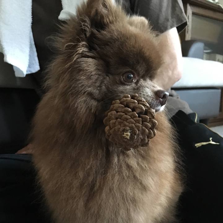 9cee6679 2d13 41e6 83c1 41cf6ced0a8e 1532044959733